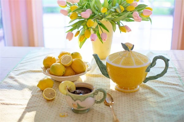 水やりを減らすならコレ！夏の花鉢6選