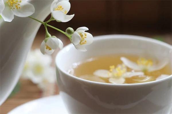 堆肥箱の掃除方法をプロが伝授！臭わずキレイに保つ3つのコツ