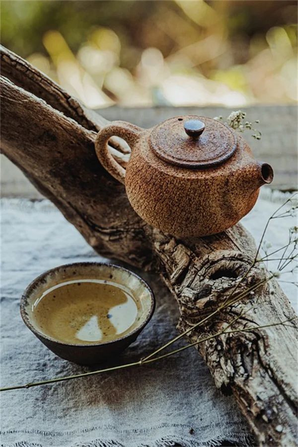 二色の植物で簡単おしゃれな庭！実践コツと組み合わせ