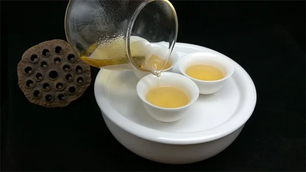 秋の果樹の挿し木で成功率を上げる7つのコツ